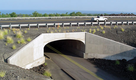 CON/SPAN style precast bridge structure